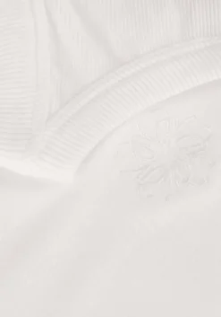 witte josh v top nada