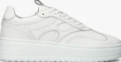 witte notre-v lage sneakers anemone-63