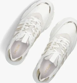 witte omoda lage sneakers kady fat 435