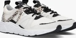 witte wysh lage sneakers carocel