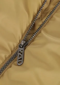 zand raizzed jack taby