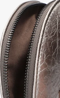 zilveren hvisk handtas cookie