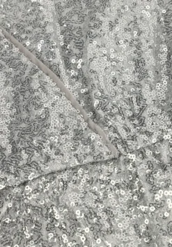 zilveren nik & nik mini jurk tanvi dress