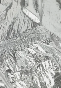 zilveren raizzed cargobroeken naira