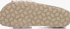 zilveren verbenas slippers rocio