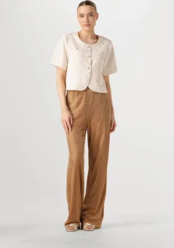 zilverkleurig amaya amsterdam blazer silver