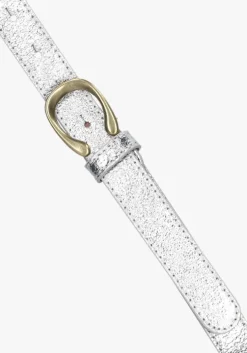 zilverkleurig notre-v riem garcia