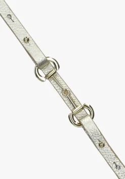 zilverkleurig notre-v riem jadore