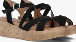 zwarte ayana sandalen met hak 722032
