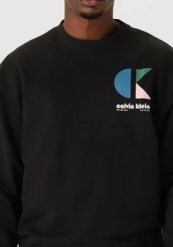 zwarte calvin klein sweater ls e 350trry ck bhs