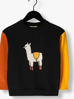 zwarte carlijnq sweater basic-sweater with print