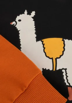 zwarte carlijnq sweater basic-sweater with print