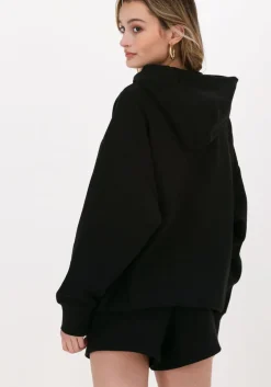 zwarte champion trui hooded sweatshirt dms plain