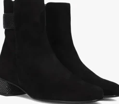 zwarte hassia enkellaarsjes 303092