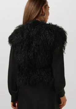 zwarte ibana gilet jannes