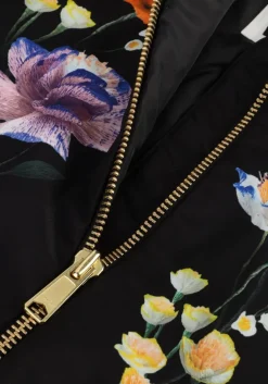 zwarte molo jack hedia