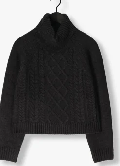 zwarte notre-v coltrui nv-enide