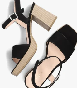 zwarte notre-v sandalen 51303