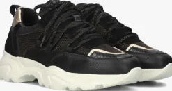 zwarte omoda lage sneakers alicia 402-k