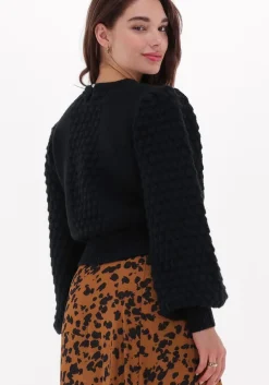 zwarte silvian heach trui sweater andrews