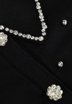 zwarte silvian heach vest cardigan nolley