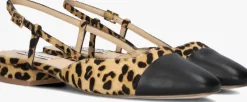 zwarte steve madden slingbacks belinda-l