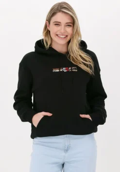 zwarte tommy jeans sweater tjw rlxd linear overlay hoodie