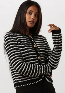 zwarte vanessa bruno truien/vesten daya