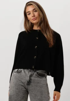 zwarte vanessa bruno truien/vesten douve