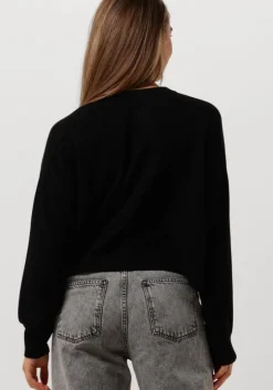 zwarte vanessa bruno truien/vesten douve